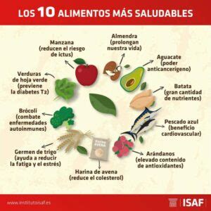 Cuales Son Los 10 Alimentos Saludables Mexinea Blog