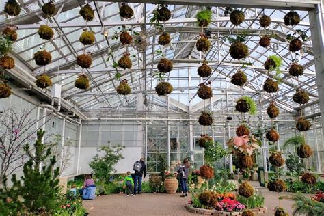 Step Into Spring at Meijer Gardens Butterfly Exhibit