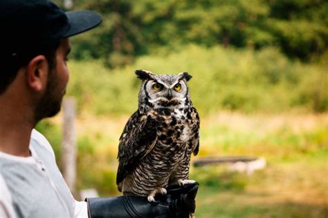 Wildlife Viewing - Tourism Vancouver Island