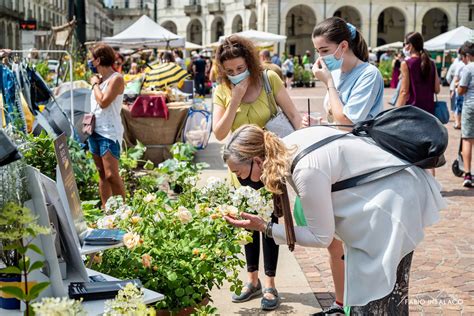 Torna A Torino Agriflor Piazza Vittorio Si Colora Con Piante E Fiori