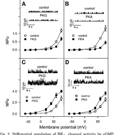 Figure From Bk Ca Channel Activation By Membrane Associated Cgmp