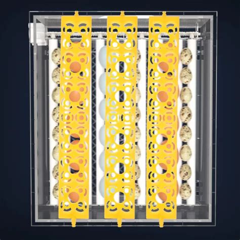 TABLETA INCUBADORA TOTALMENTE automática pieza de repuesto incubadora