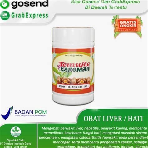 Jual Temujie Obat Liver Hepatitis Gangguan Fungsi Hati Penyakit Kuning