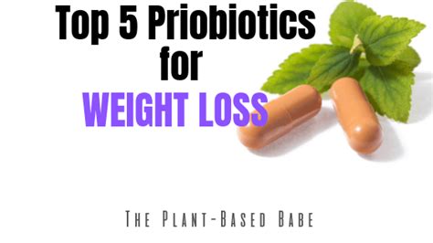 Top 5 Probiotics For Weight-Loss