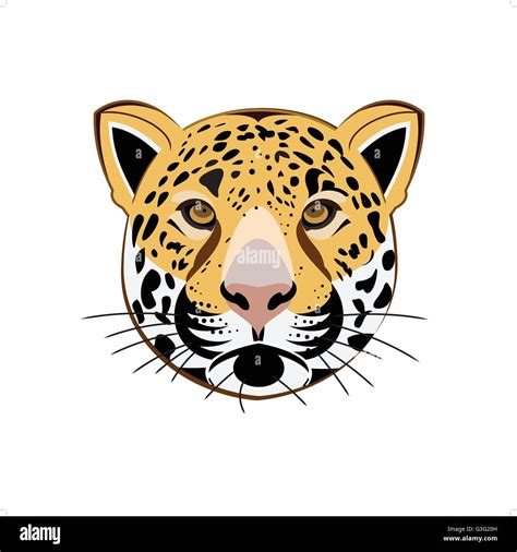 Beautiful Leopard Head Vector Illustration Isolated On White Backgorund