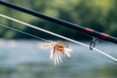 Double Your Fly Fishing Fun With A Dry Dropper Rig Kayak Angler