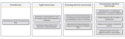 Mastering Microbiology Chapter 3 Flashcards Quizlet