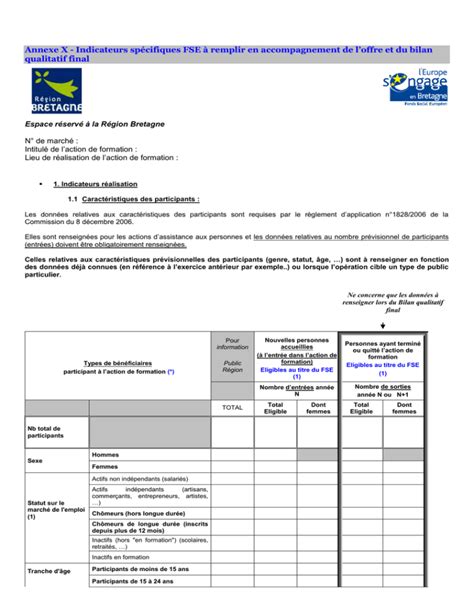 Annexe X Indicateurs Sp Cifiques Fse Remplir En