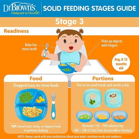 Solid Feeding Stages Guide For Babies Artofit