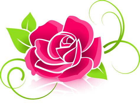 Rosa Flor Pétalos Gráficos Vectoriales Gratis En Pixabay