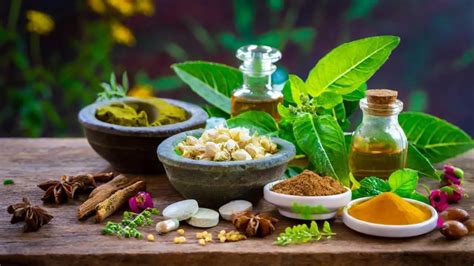 Ayurvedas Role In Enhancing Kidney Health