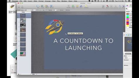 instant alpha removing backgrounds  images