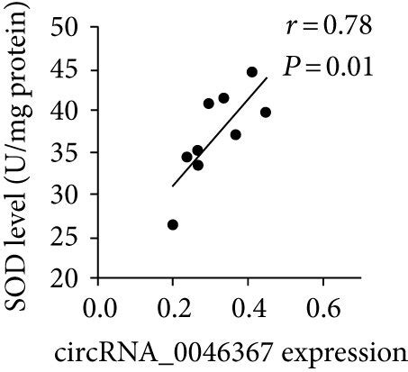 CircRNA 0046367 Dependent Attenuation Of Hepatocellular Steatosis