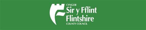 Flintshire County Council (option 2) - Childrens