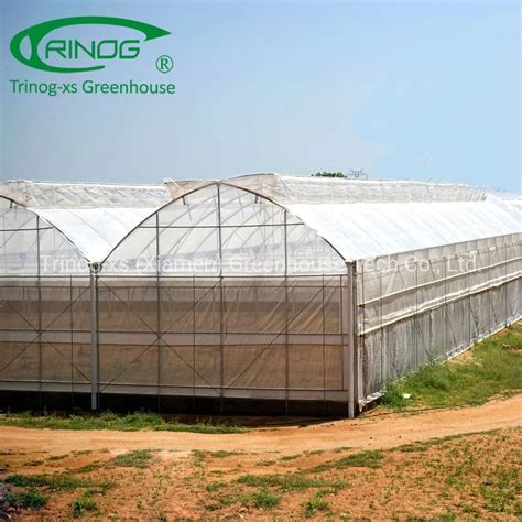 Modern Multi Span High Tunnel Plastic Film Glass Polycarbonate