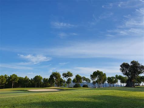 T Golf Palma Puntiro