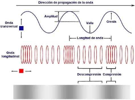 ejemplos reales de ondas transversales