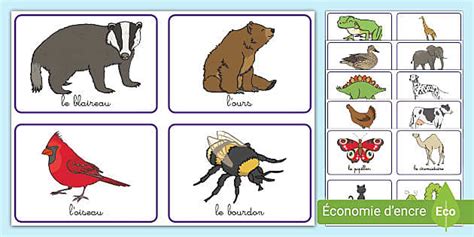 Cartes De Vocabulaire Les Animaux Professor Feito