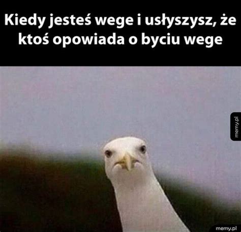 Ja Cię kurwa naucze niszczyć moje plany na weekend Memy pl