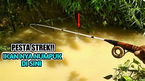 Mancing Wader Di Selokan Rimbun Ikan Nya Banyak Jarang Ada Yang Mancing