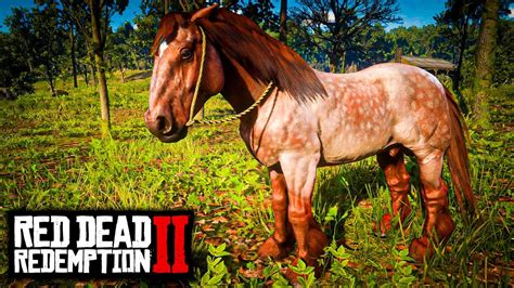 TODOS OS RARÍSSIMOS CAVALOS DOS ESTÁBULOS RED DEAD REDEMPTION 2 YouTube