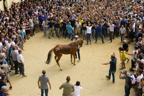 Palio Di Siena Del Agosto La Seconda Prova Alla Tartuca