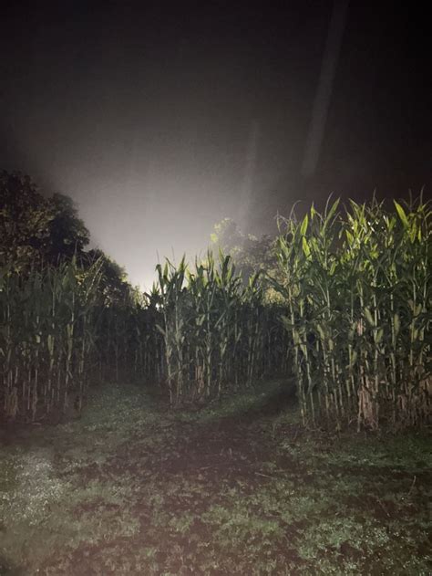 halloween/fall corn maze🍂♥️ in 2024 | Southern gothic aesthetic, Mountains at night, Halloween ...