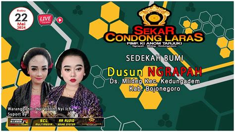 LIVE TAYUB SEKAR CONDONG LARAS SEDEKAH BUMI DUSUN NGRAPAH MLIDEG