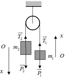 Cho hệ như hình vẽ m1 1kg m2 2kg Khối lượng ròng rọc và dây