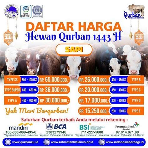 Daftar Harga Sapi Qurban Dari Tipe Super Hingga Tipe E