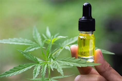 CBD Oil – What is "Cannabis Oil" & How Does Cannabidiol Work?