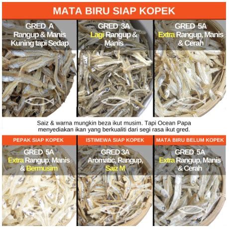 Ocean Papa Ikan Bilis Mata Biru Kopek Belum Kopek Gred 5A 3A A 500G