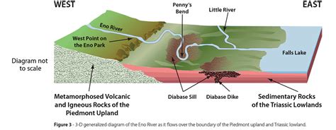 A River Runs Around It Restoring The Rare Flora Of Penny’s Bend North Carolina Botanical Garden