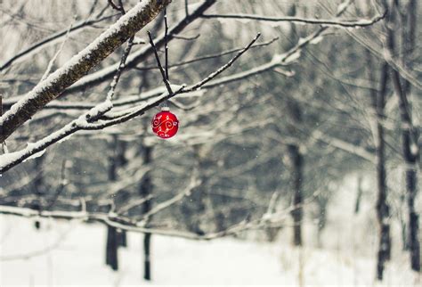 Wallpaper 2000x1359 Px Branch Christmas Ornaments Depth Of Field