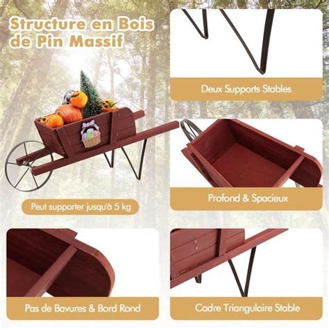 COSTWAY Brouette Décorative en Bois pour Plantes Accessoires