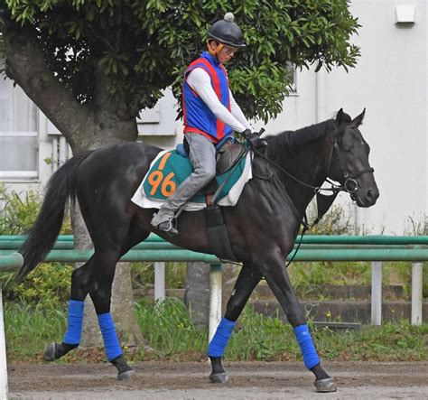 【pog】サトノギベオン 仕上がり万全 伯父は11年秋の盾vのトーセンジョーダン競馬・レースデイリースポーツ Online