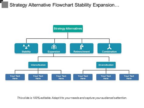 Strategy Alternative Flowchart Stability Expansion Retrenchment And