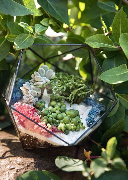 Premium Photo Glass Florarium With Succulent Plants Inside Among