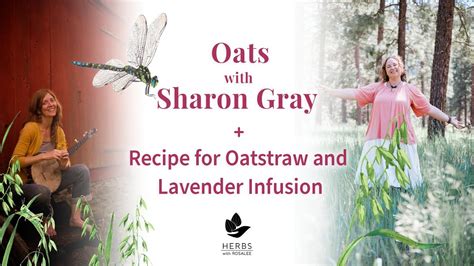 Oats With Sharon Gray Recipe For Oatstraw And Lavender Infusion YouTube