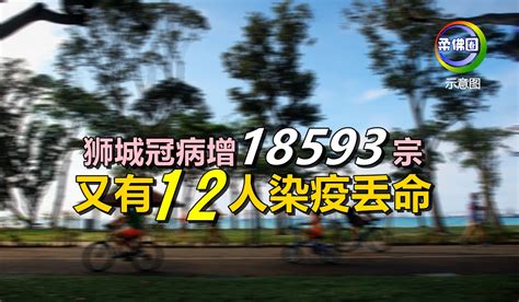 狮城冠病增1万8593宗 又有12人染疫丢命 柔佛圈