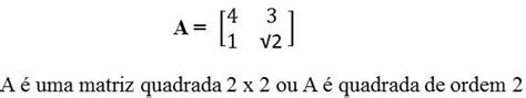 Tipos de Matrizes quais são suas características Toda Matéria