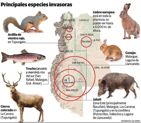 Alertan Sobre Especies Exóticas Invasoras Mendoza Para Evitar Las Pérdidas Millonarias Que