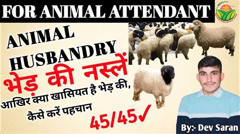 Pashu Parichar Bharti Part B Breed of Sheep भड क नसल 02 By