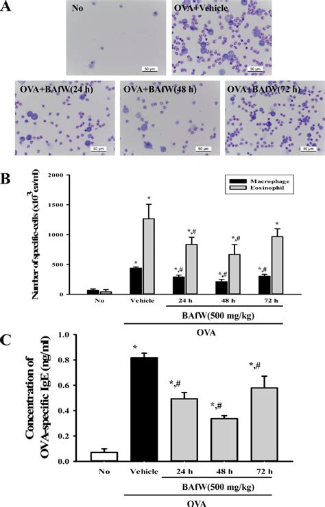 Measurement Of Number Of Total Immune Cells And Level Of Ova Specific