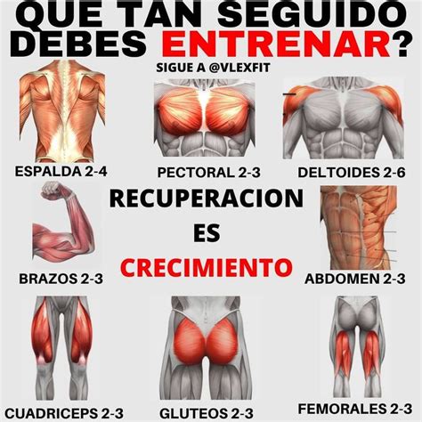 NUTRICION EJERCICIO SALUD On Instagram Pulsa Y Guarda El Post