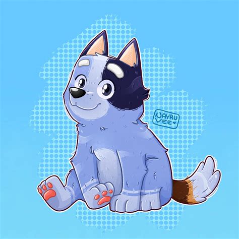 Socks Heeler By Evelinkabluey On Deviantart