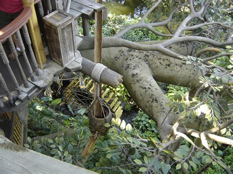 Disney Vacation Kingdom: Swiss Family Robinson Treehouse