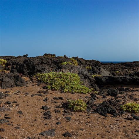 Vistas A La Playa De Lava De Linosa Llamada Faraglioni Imagen De