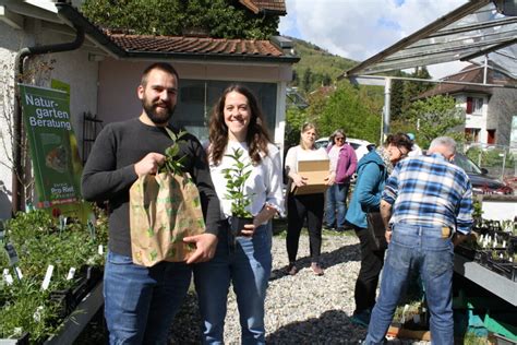 Über 3800 heimische Wildstauden gepflanzt Verein PRO RIET Rheintal