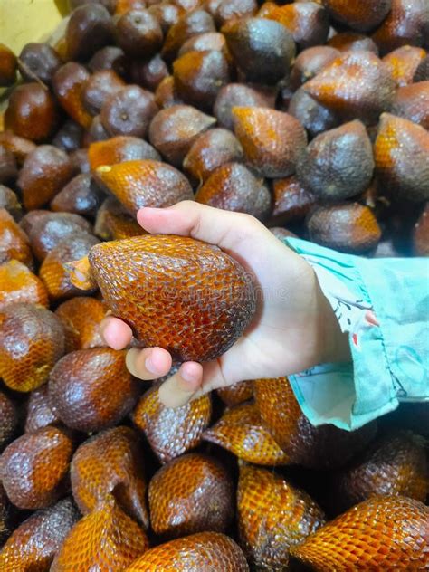 Piles of Pondoh Salak Sold in Traditional Markets Stock Photo - Image ...